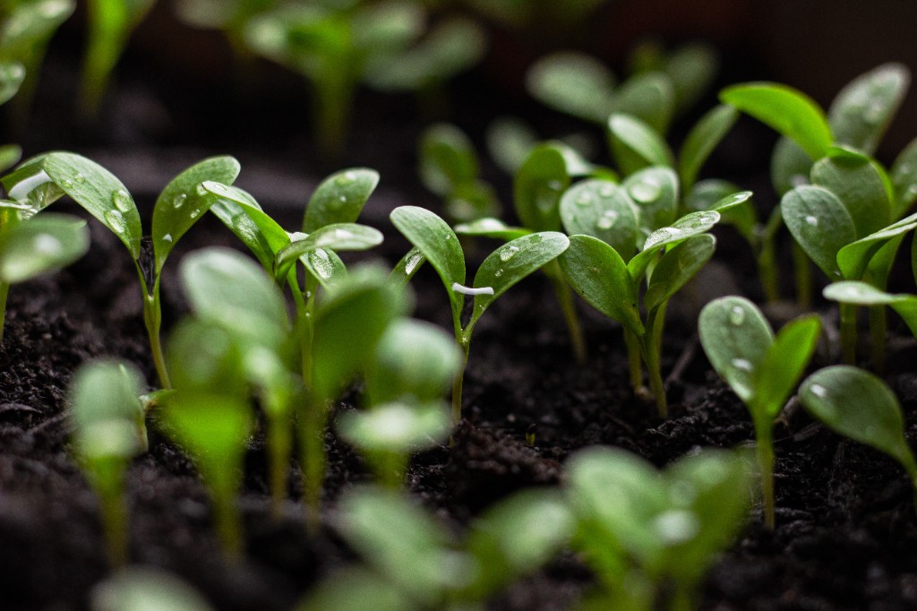 Sustainability Background